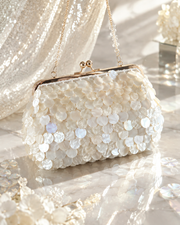 Mother of Pearl Sequin Clutch